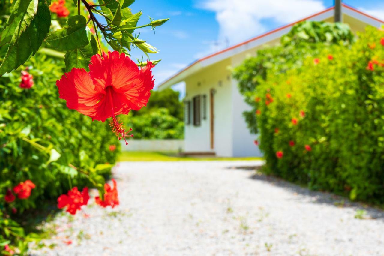 Sunset Hill Ishigaki Villa Ishigaki  Eksteriør bilde